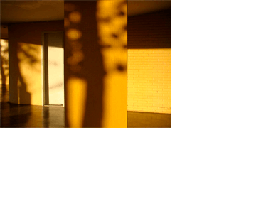 Foto horizontal que mostra vários planos de uma área embaixo de um prédio. Todos os planos estão iluminados pela forte luz amarela do sol poente. Em primeiro plano, ligeiramente à direita, há uma coluna larga, retangular, cobertas de pastilhas amarelas, com a sombra bem escura do tronco de uma árvore. Em segundo plano, alguns metros atrás, está uma parede de tijolinhos amarelos e uma estreita porta branca, com sombras pretas do teto e das árvores (que não aparecem). O chão é de cimento brilhante e também está amarelado, refletindo a luz. O teto é plano e está todo na sombra, mas também recebe o reflexo da luz amarela. Ao fundo, no canto esquerdo, há um último plano, estreito, de uma parede também amarela e com sombra de árvores.(Esta é a última imagem da série.)