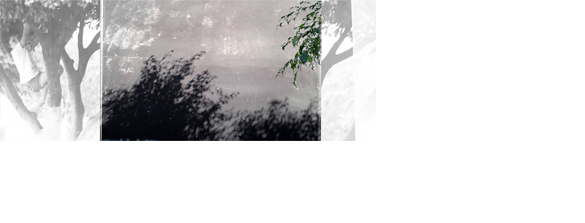 Colagem digital em formato panorâmico. À esquerda há uma foto vertical, preto e branca, de uma criança de três anos subindo numa árvore, vista de perto. No centro há uma foto horizontal de uma parede preta, desbotada e com manchas brancas; na parte de baixo da parede há sombras de uma folhagem, e no canto direito aparecem folhas verdes. No lado direito da colagem há uma estreita faixa vertical que mostra um detalhe da árvore da primeira foto.