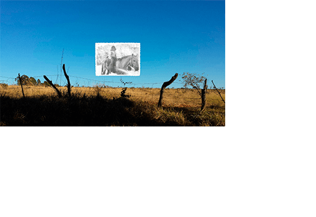 Foto horizontal mostrando em sua maior parte um céu muito azul, sem nuvens. Na parte de baixo há uma faixa de pasto com capim seco, iluminada pelo sol. Abaixo do pasto, uma faixa quase preta onde o sol não bate. No limite entre as duas há uma cerca de arame farpado frouxo; pode-se ver quatro estacas tortas, feitas com galhos de árvore. Estão escuras e suas pontas se destacam contra o céu azul. Bem no centro da foto, sobre o céu, está colada outra foto pequena, antiga, em preto e branco, mostrando uma menina de sete ou oito anos andando num velho cavalo branco, sem sela.