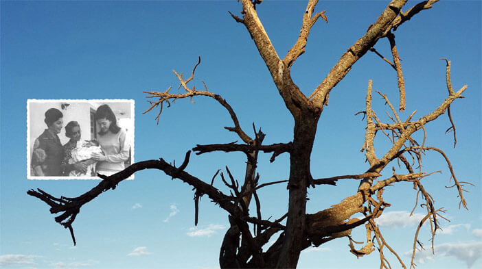 Foto horizontal de uma grande árvore seca, com galhos meio tortos, metade no sol e metade na sombra, ocupando todo o quadro, cortada em cima e embaixo. O fundo é um céu azul com pequenas nuvens bem clarinhas ao longe, embaixo. À esquerda, sobre um dos galhos, está colada uma foto pequena, antiga e em preto e branco. Ela mostra três mulheres de pé, bem juntas: uma jovem, uma senhora e uma velhinha no centro, segurando um bebê recém-nascido enrolado numa manta branca.