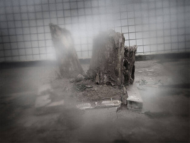 Foto horizontal de um pequeno canteiro quadrado de terra com o toco de uma árvore, dividido em três partes, cortado a meio metro do chão. O canteiro está no centro, sobre uma calçada rachada, com uma parede de azulejos quadrados e brancos atrás. Os azulejos têm rejunte preto e estão assentados fora do prumo, de modo que a o quadriculado desce para a esquerda. Toda a imagem está desfocada pelo anteparo na lente, exceto por uma pequena área onde se vê parte de um toco do tronco.