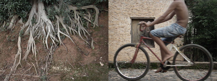Imagem em tons de marrom, bege e cinza. A foto da direita mostra um rapaz passando de bicicleta em direção à foto da esquerda. Ele aparece dos ombros para baixo, ocupando quase todo o quadro, de lado para a câmera. Está sem camisa e usa uma bermuda azul acinzentado; a rua tem calçamento antigo de pedras do mesmo tom da bermuda. Vê-se a linha do meio-fio e logo atrás a parede de uma casinha bege com uma janela de tábuas marrons, bem pequena e fechada. A proporção é curiosa pois a casa é muito baixa, e a janela também. No canto direito há uma cerca escura de tábuas e plantas escuras que fecham a vista de cima a baixo. A foto da esquerda mostra um barranco de terra vermelha, onde a erosão deixou à mostra as raízes cinzentas de uma grande árvore. Há limo no canto de baixo, à direita, e uma folhagem verde-escura em cima, à esquerda. 