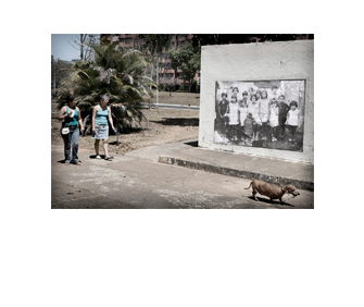 Foto horizontal de duas mulheres passeando com um cachorro e olhando uma foto antiga colada na parede. A foto colada tem cerca de 3m x 2m e mostra um grupo de 14 crianças (é a mesma da imagem anterior). As duas mulheres estão no canto esquerdo da foto e o cachorro no canto direito, já quase saindo do quadro. Atrás das mulheres vê-se uma grande planta, árvores e prédios de apartamentos ao fundo.