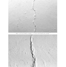 Colagem digital com margens brancas, formada por duas fotos horizontais em preto e branco colocadas uma acima da outra, com um pequeno espaço em branco entre elas. As duas fotos mostram diferentes partes de uma parede branca e bem iluminada, com pintura muito degradada, pequenas bolhas e furos. Em ambas, uma única rachadura atravessa a imagem de cima a baixo, no centro da foto. A rachadura da foto de baixo é mais larga. Na faixa branca entre as duas fotos está a frase: REAL: 1. Que existe realmente; verdadeiro. 2. O que as coisas realmente são; realidade.