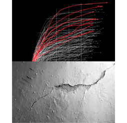 Colagem digital em formato quadrado, com margens brancas. Na metade de cima há um retângulo preto com um gráfico de dez curvas ascendentes, em linhas grossas e vermelhas, que se destacam sobre inúmeras outras curvas em linhas finas e brancas, todas com setas na ponta. No final da segunda curva vermelha mais alta está a palavra Brazil. Na metade de baixo da colagem há uma foto horizontal em preto e branco mostrando uma parede com pintura degradada e pequenas bolhas. Uma grande rachadura atravessa a foto numa linha que sobe da esquerda para a direita.